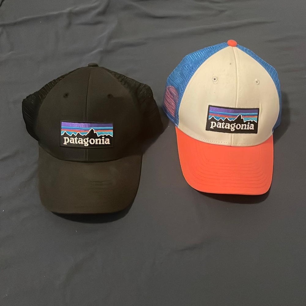 Patagonia baseball hat